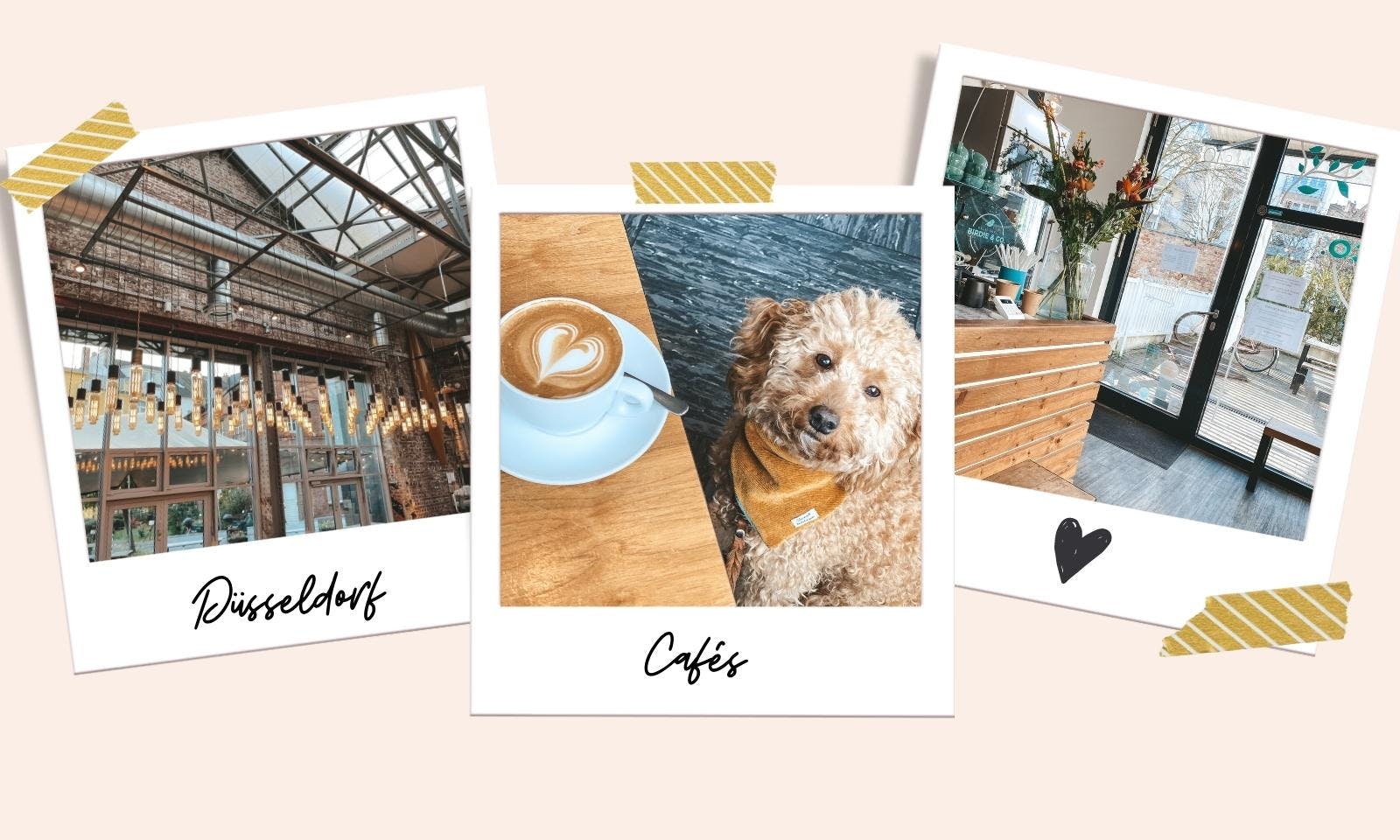 Düsseldorf mit Hund: Hundefreundliche Cafés in Düsseldorf
