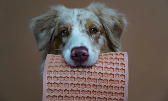 Hundebackmatten aus Deutschland von Goodleen