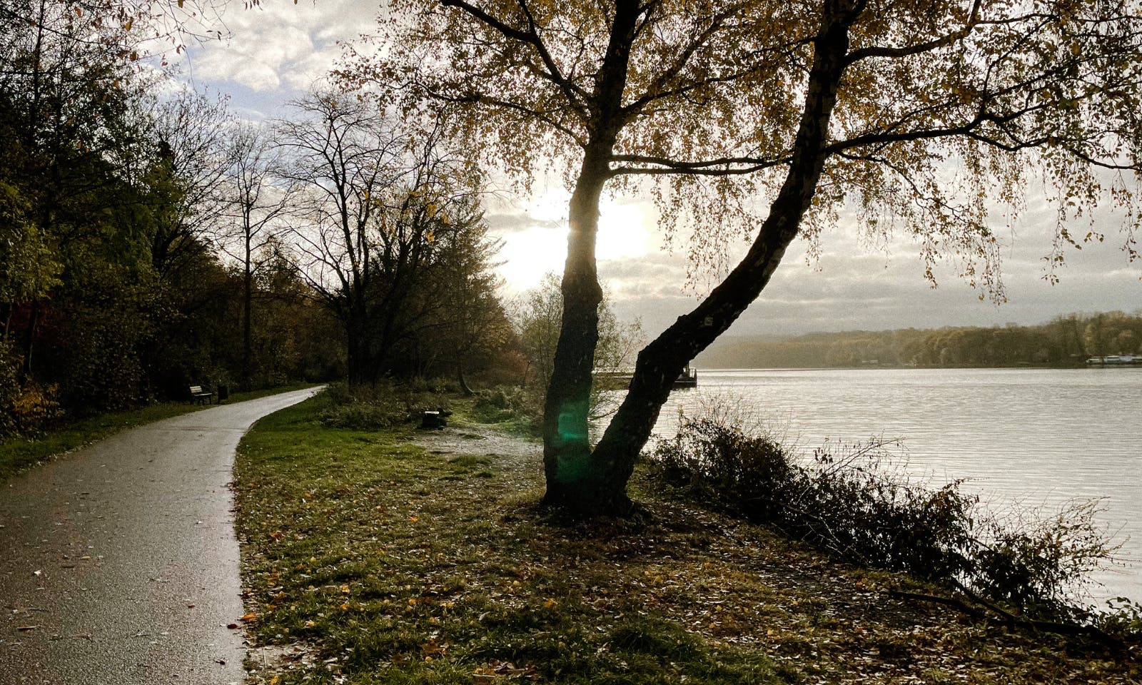 Bergischer Weg mit Hund Etappe 1 Baldeneysee