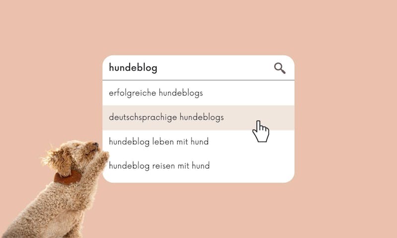 10 deutschsprachige Hundeblogs mit geballtem Wissen