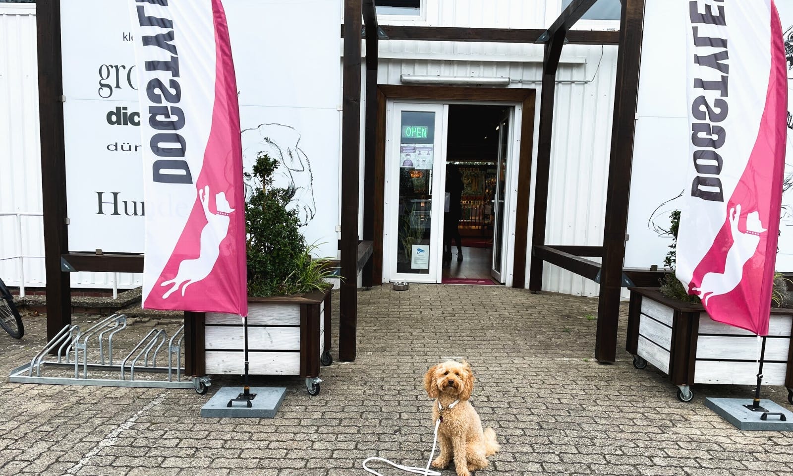 Oli P.'s Dogstyler auf Sylt