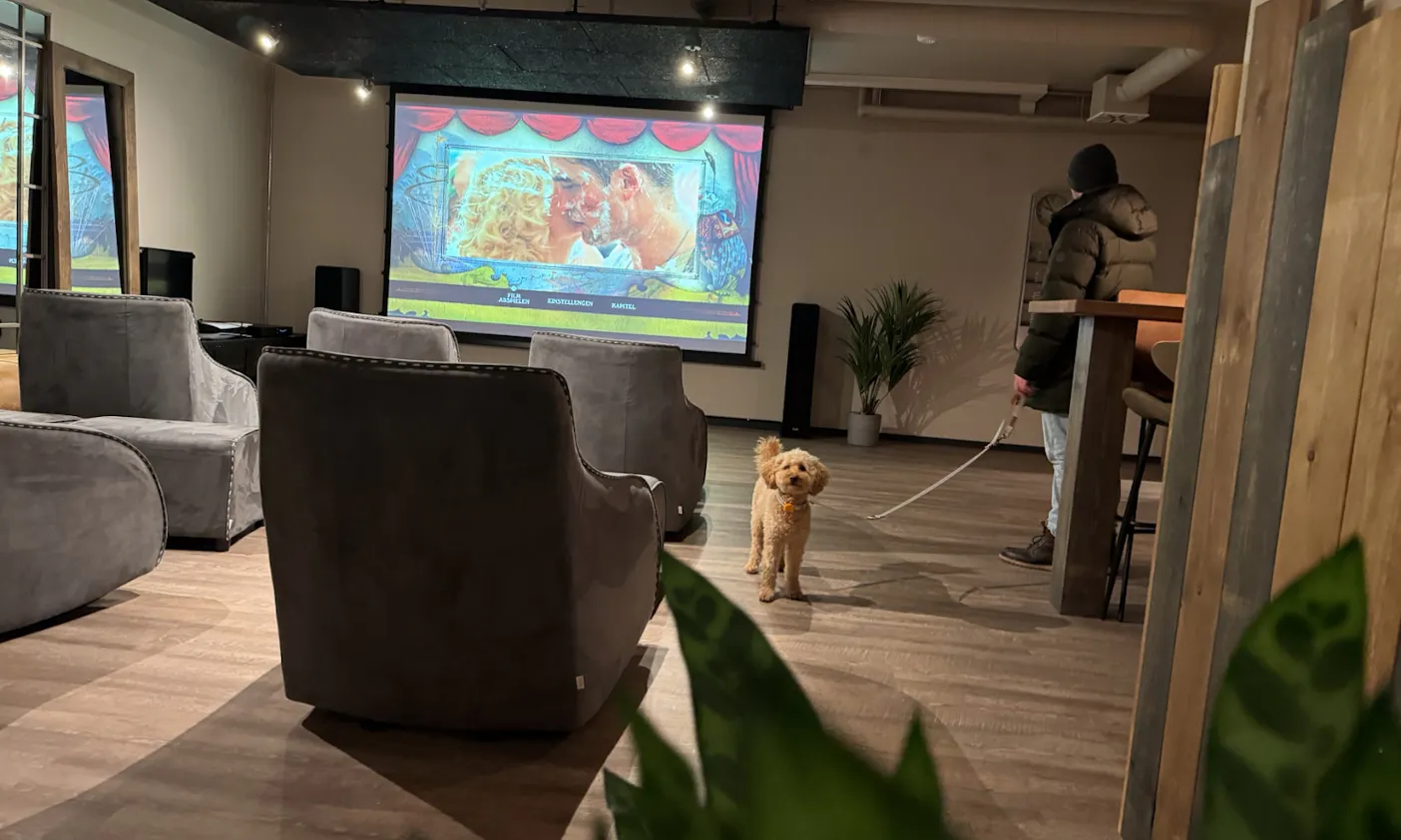 Hunderegeln im Hotel Bretterbude Büsum