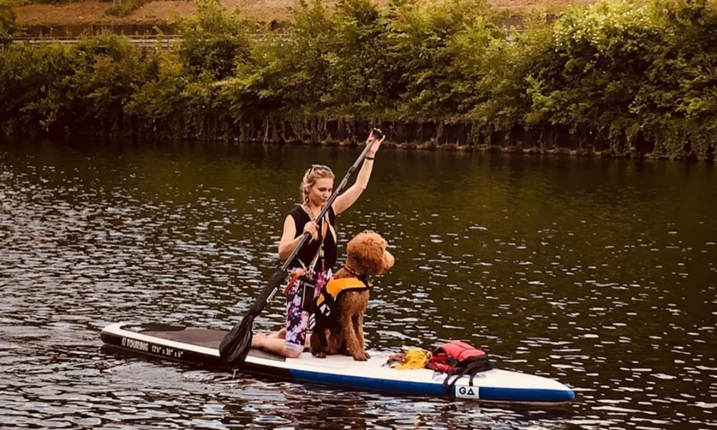 Stand up padeling mit Hund