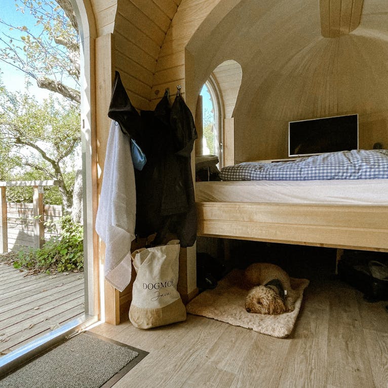 Glamping im Iglucamping mit Hund in Bayern