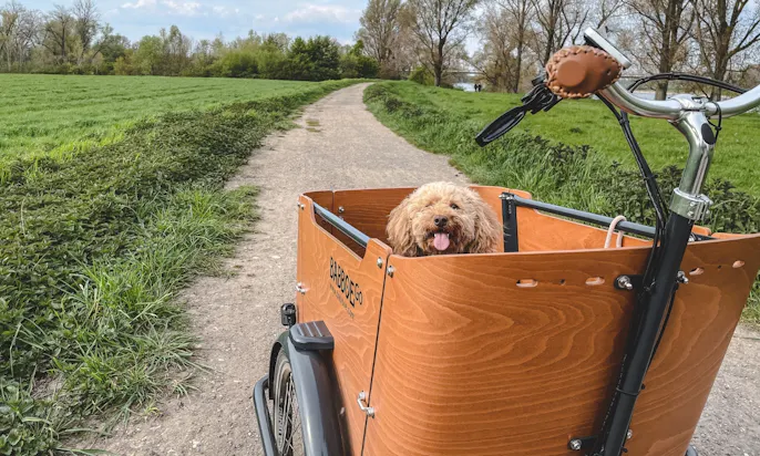 Lastenrad für Hunde