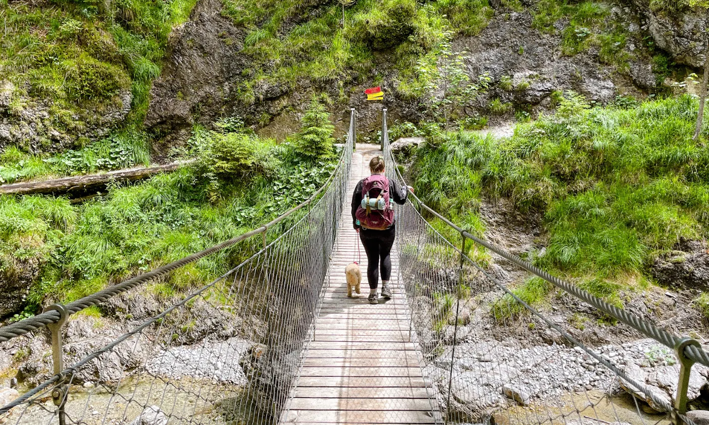 Grießbachklamm Hängebrücke mit Hund