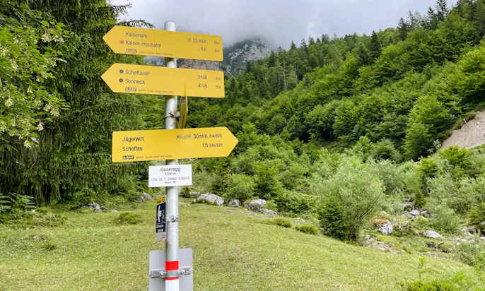 Mit Hund am Wilden Kaiser zur Kaiseralm in Tirol wandern