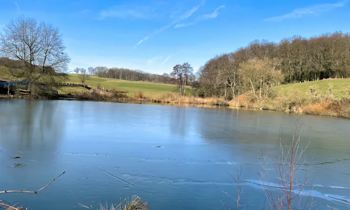 Seen in Düsseldorf für Hunde