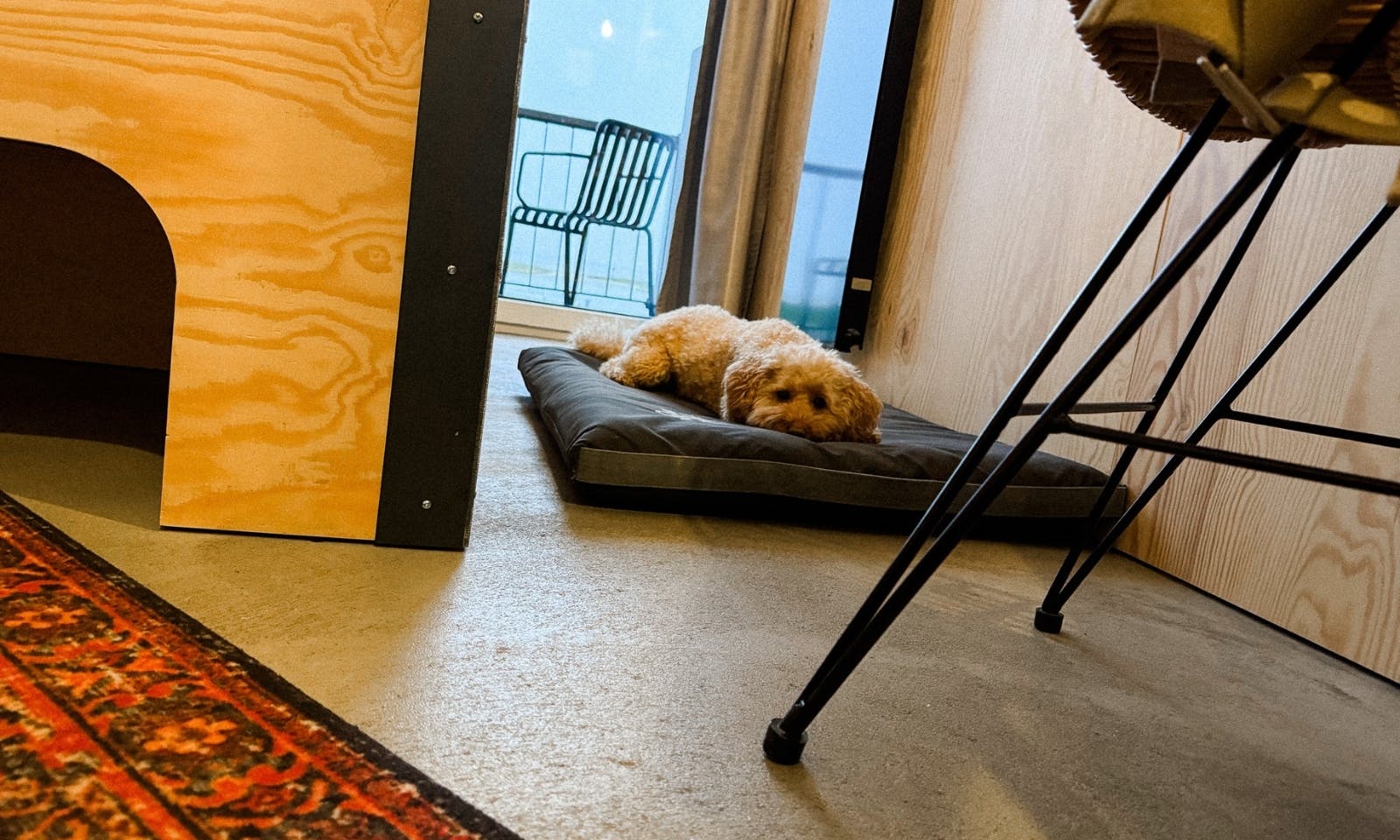 hundefreundliches Hotel Bretterbude Büsum mit Hund
