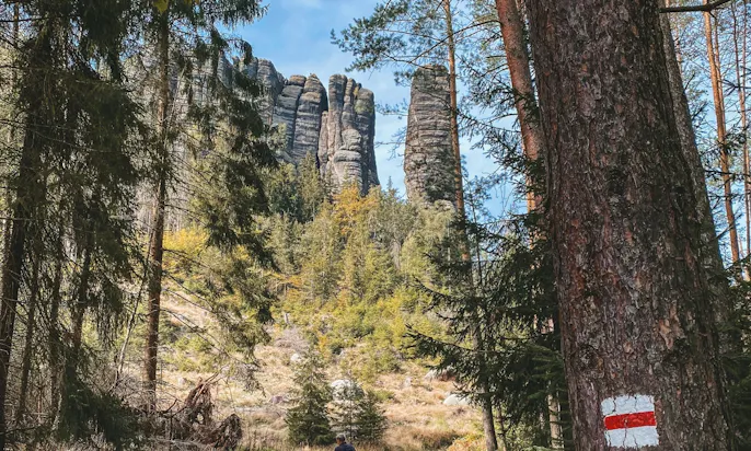 Wandern in der Sächischen Schweiz mit Hund