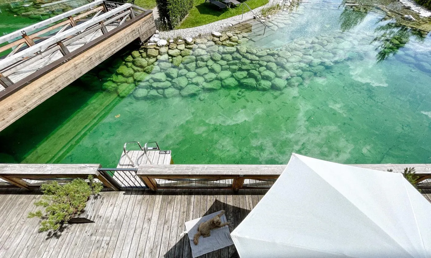 Kaiserlodge mit Hund: Hundefreundliches Hotel in Tirol am Wilden Kaiser in Scheffau