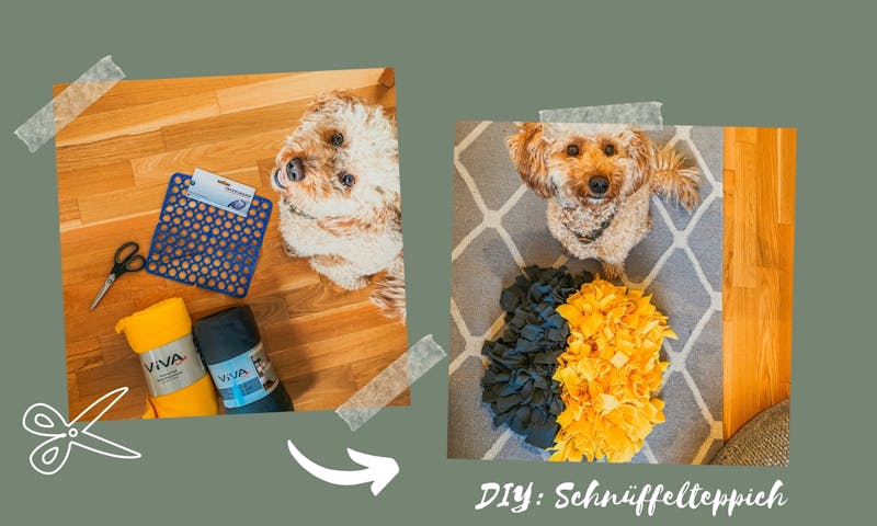 DIY Schnüffelteppich