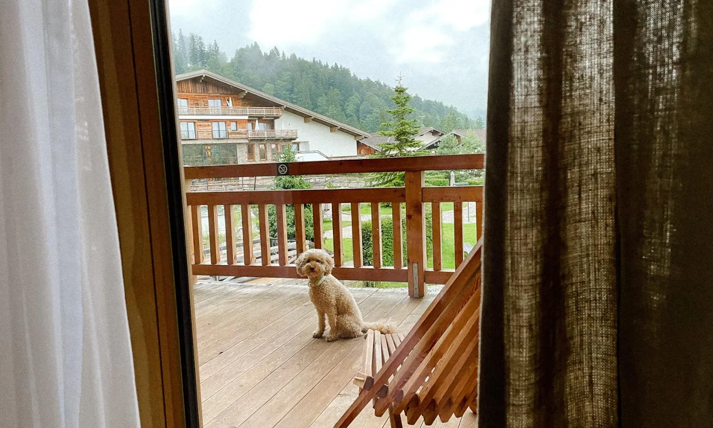 Hundefreundliches Hotel in Scheffau am Wilden Kaiser: Seesuite in der Kaiserlodge
