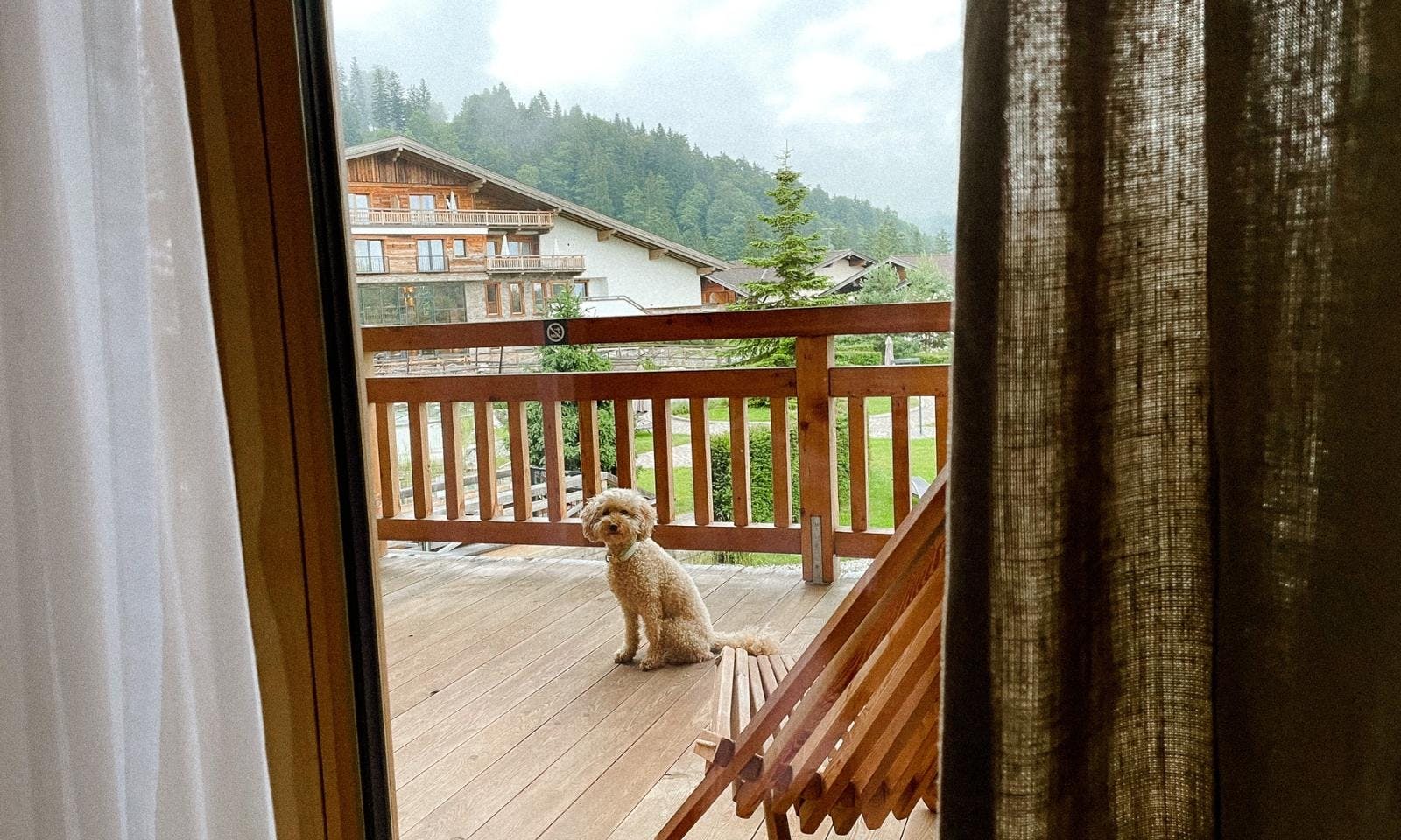 Hundefreundliches Hotel in Tirol am Wilden Kaiser in Scheffau: Kaiserlodge