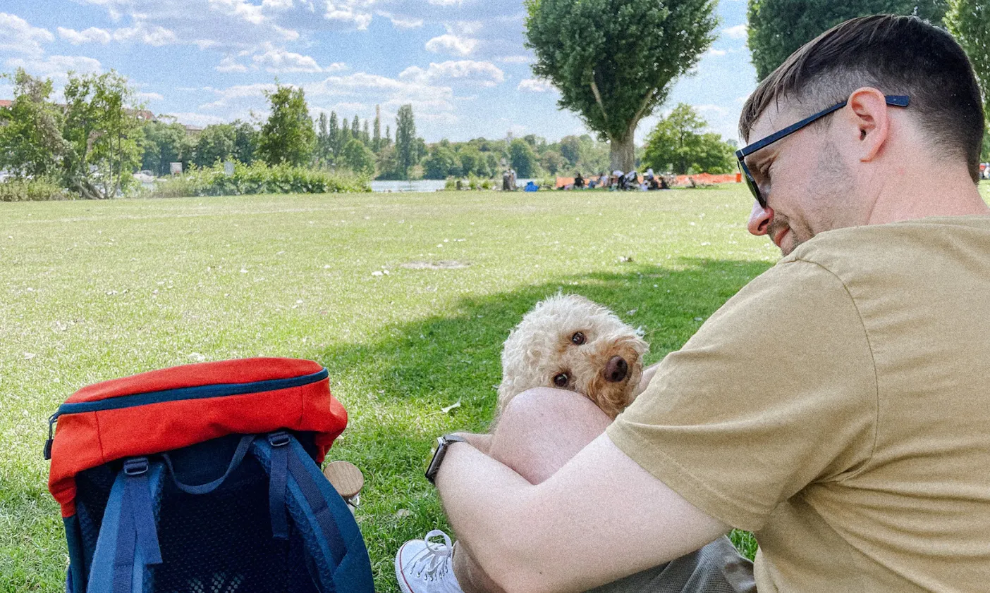 Neckarwiese mit Hund in Heidelberg