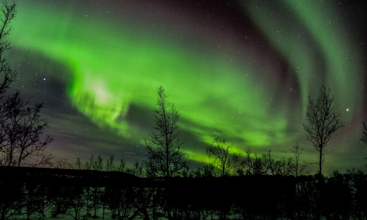 Polarlichter in Schweden mit Hund