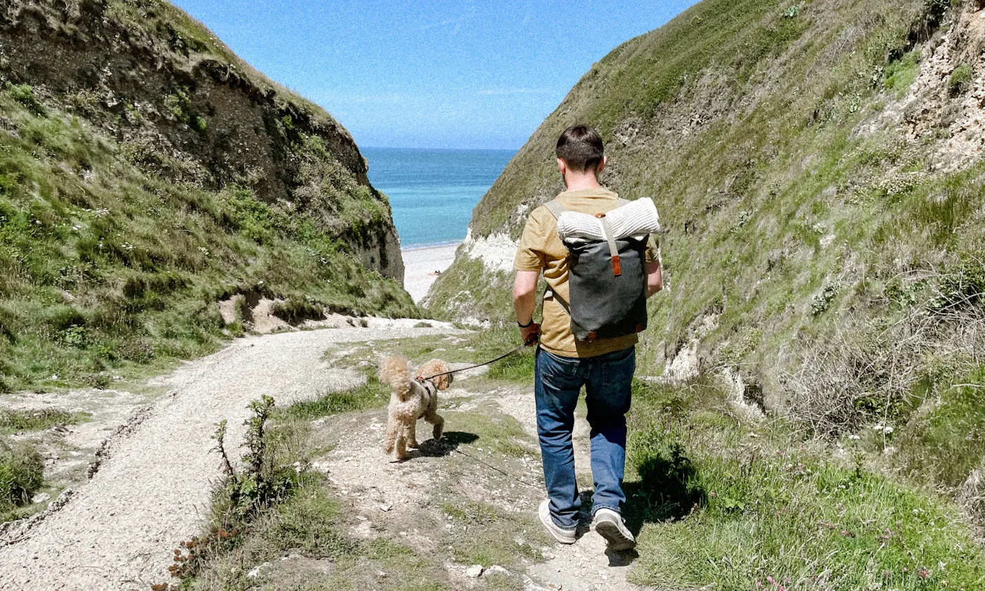 Hund abkühlen in Frankreich
