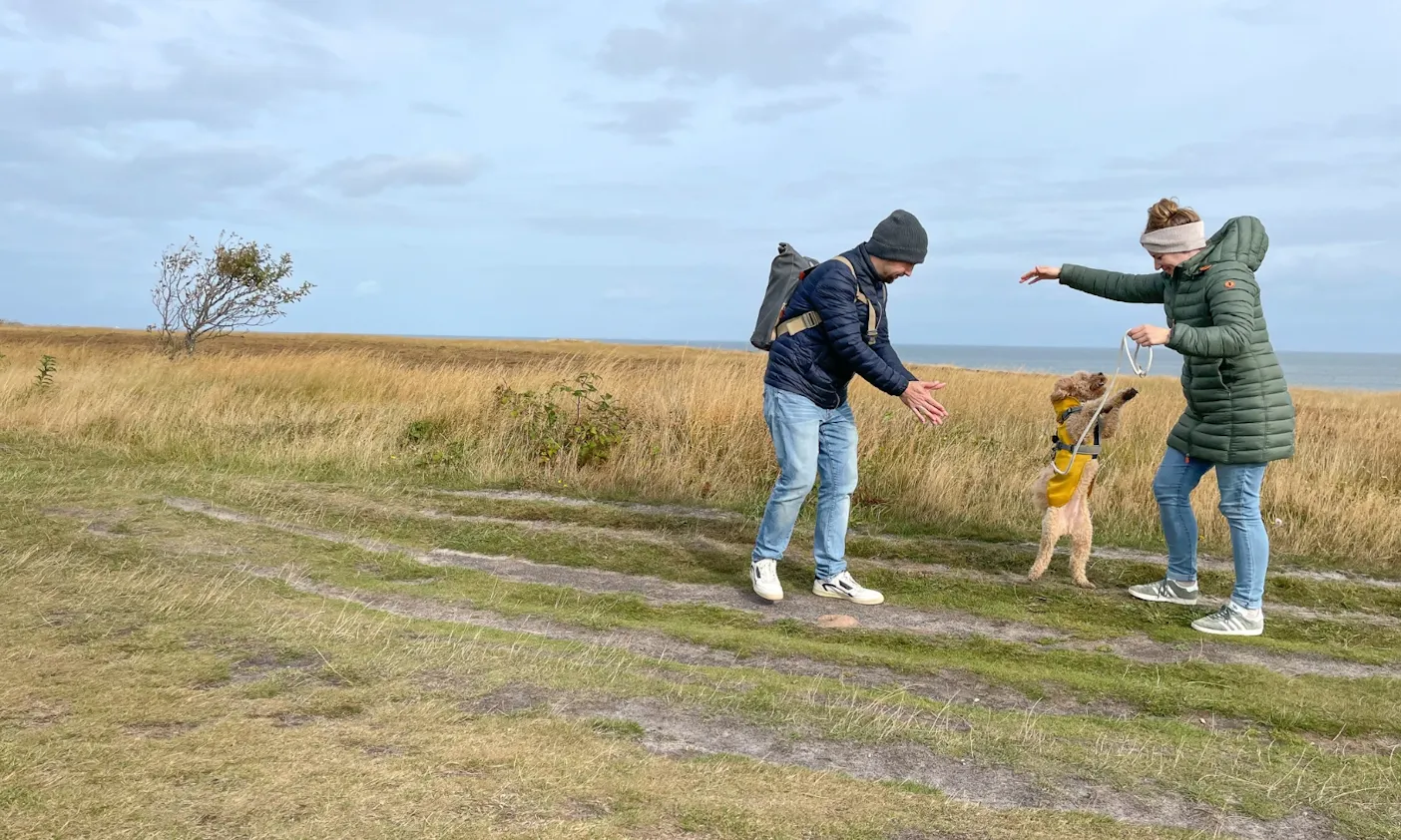 Urlaub mit Hund auf Sylt