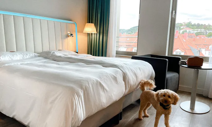 Hundefreundliches Hotel in Stuttgart: Park Inn by Radisson Stuttgart