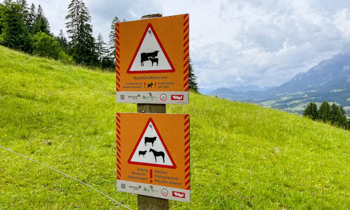 Wandern mit Hund am Wilden Kaiser: Von Ellmau zum Astbergsee über den Treichlhof