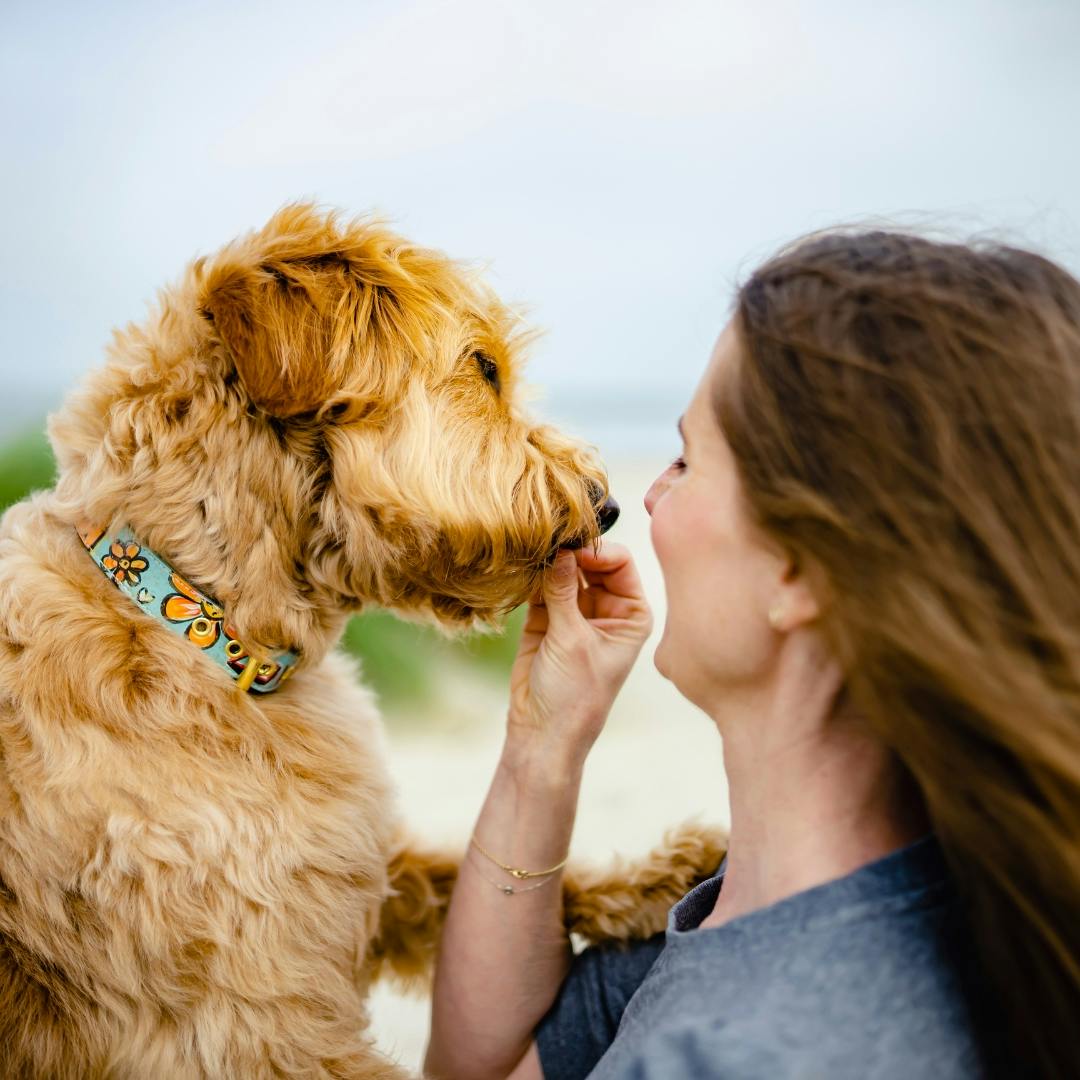 Yvonne und Goldendoodle Willi, die Gesichter der Manufaktur Willi Wiggle