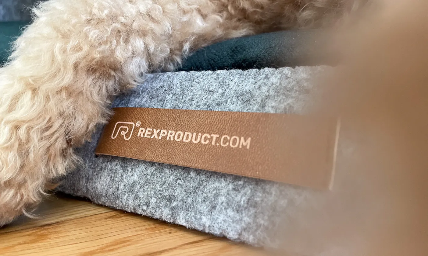 Nachhaltige Hundekörbchen und Indoor Hundehütten von Rexproduct