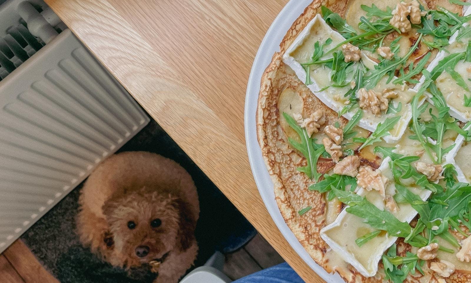 Pannenkoekenhuis BRAM mit Hund