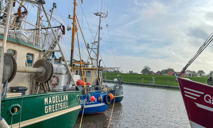 Hafen in Greetsiel mit Hund