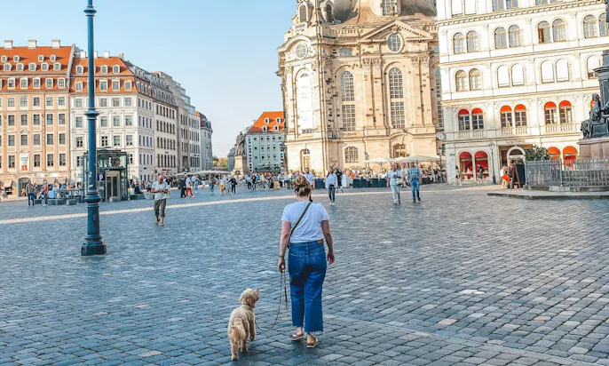 Dresden Altstadt mit Hund