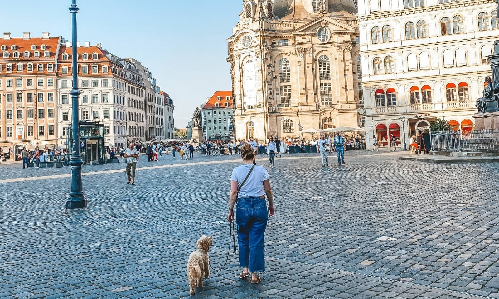 Dresden Altstadt mit Hund
