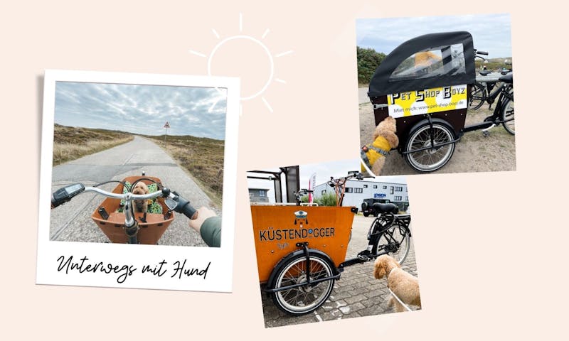 Urlaub mit Hund: Lastenrad mieten auf Sylt