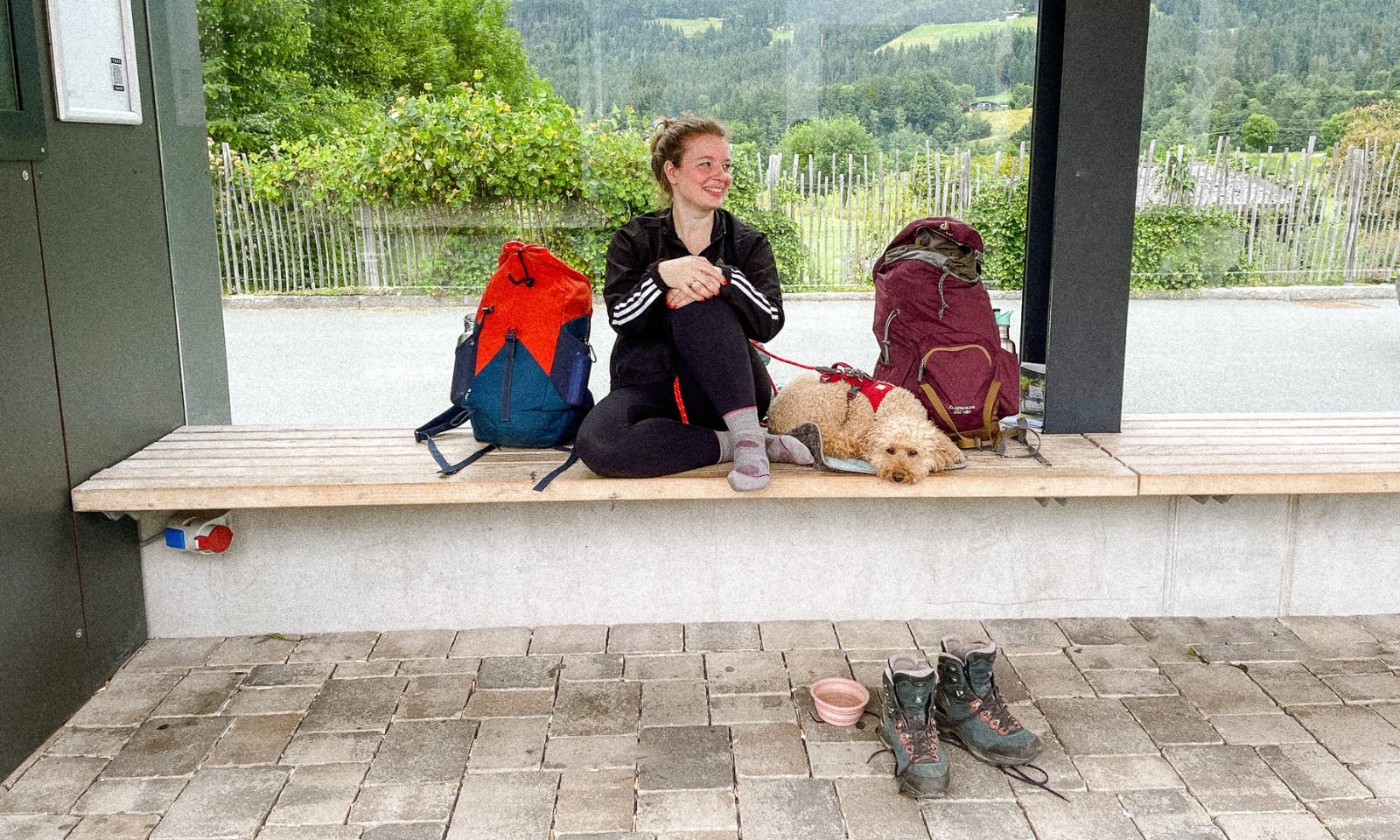 Wanderbus mit Hund in Tirol am Wilden Kaiser