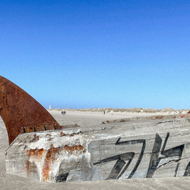Blavand Strand Bunker Pferd
