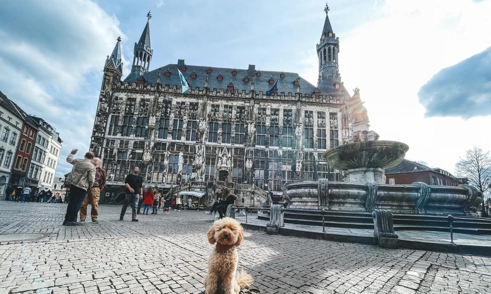 Rathaus in Aachen mit Goldendoodlehündin Java