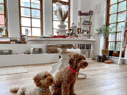 Hundeboutique Fräulein Lotti