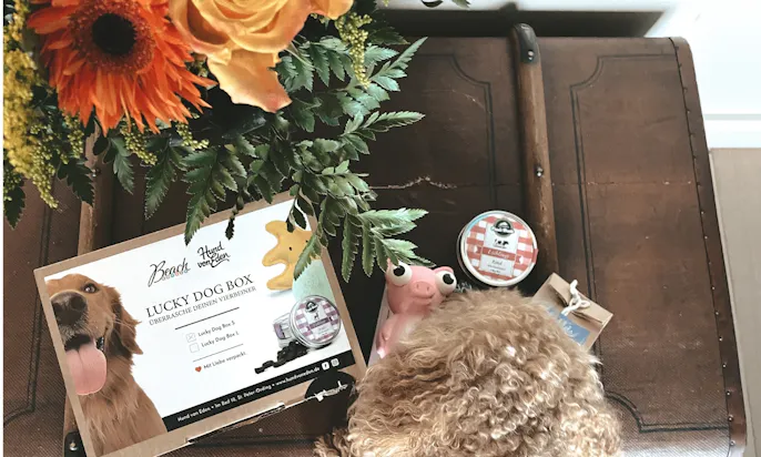 Urlaub mit Hund im Hotel: Willkommenspaket im Beach Motel