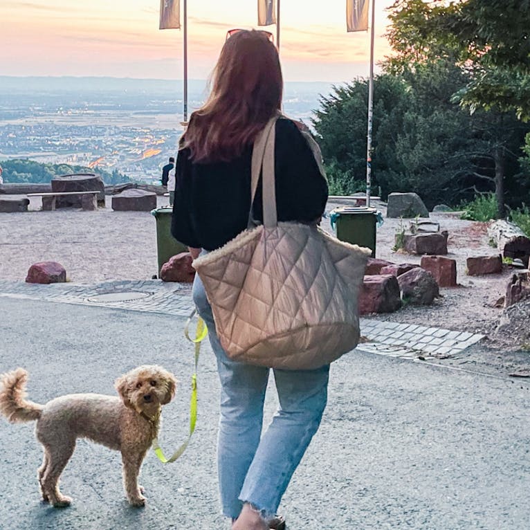 Berggasthof Königstuhl in Heidelberg mit Hund