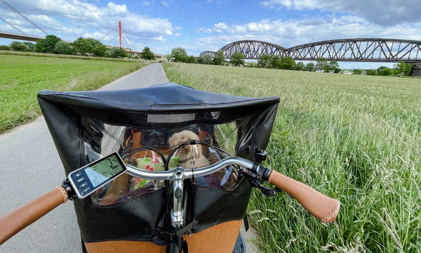 Naturschutzgebiet Rheinaue Binsheim
