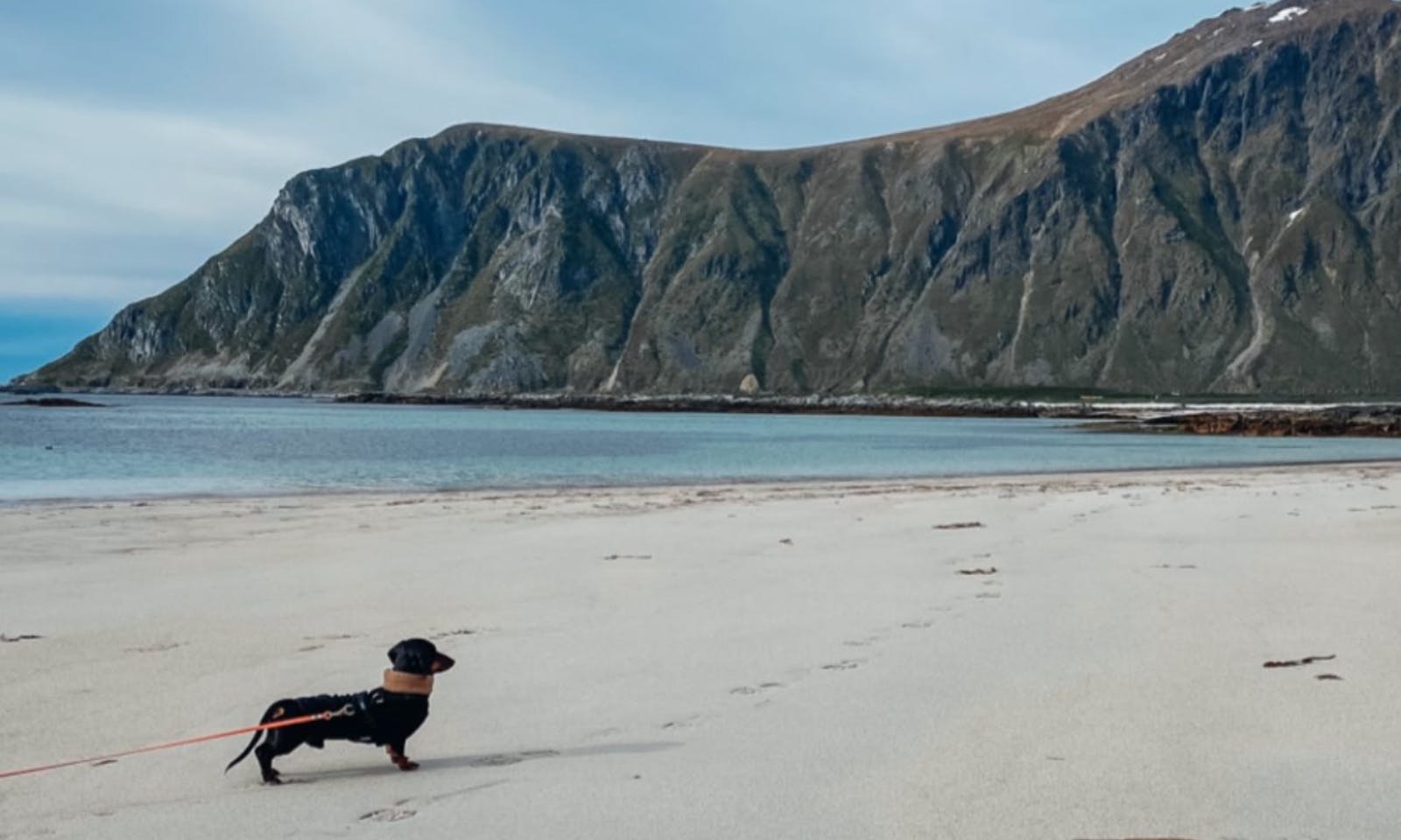 Urlaub mit Dackel in Norwegen
