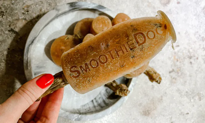 Hundeeis von SmoothieDog