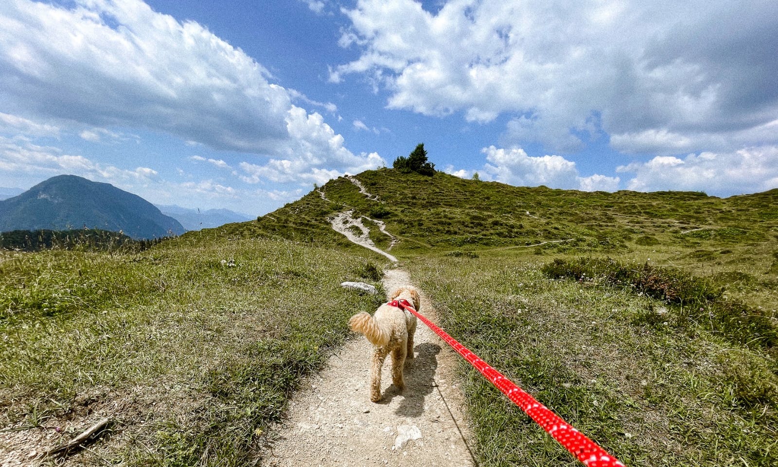 Wandern mit Hund Vom Hintersteiner See zur Kafma Alm