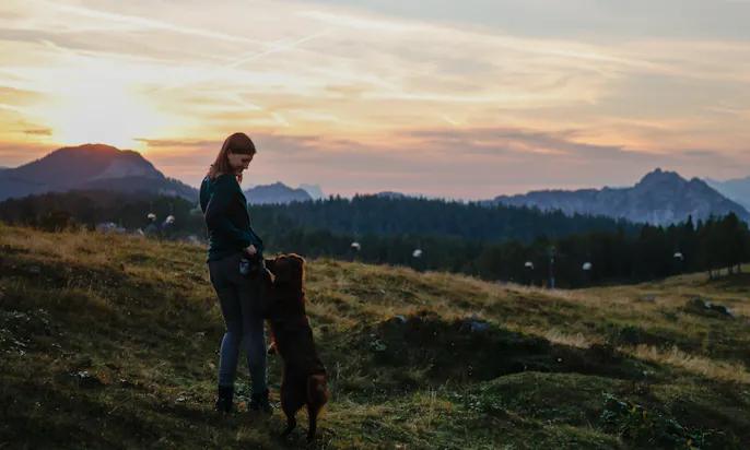 Australian Shepherd in Österreich in der Steiermark