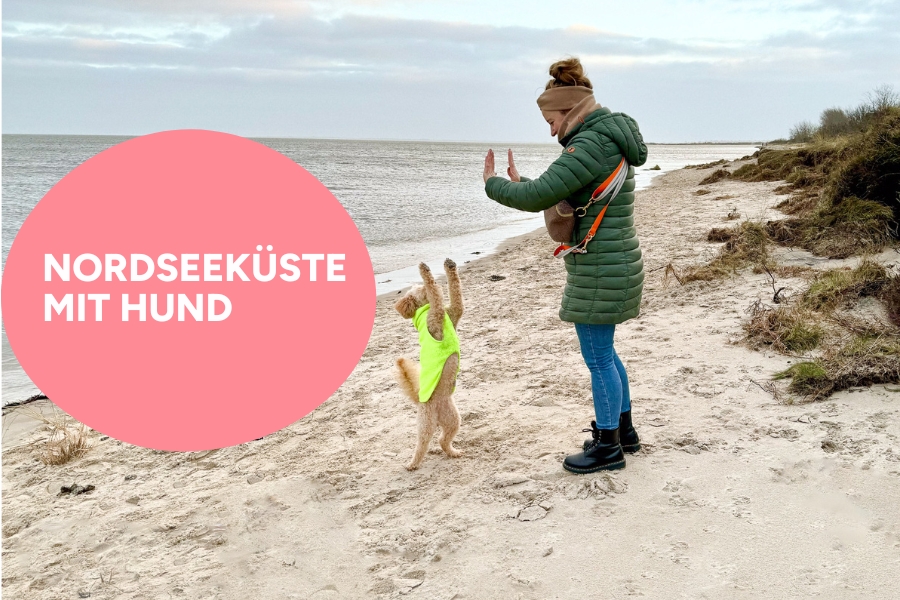 Nordseeküste mit Hund erkunden
