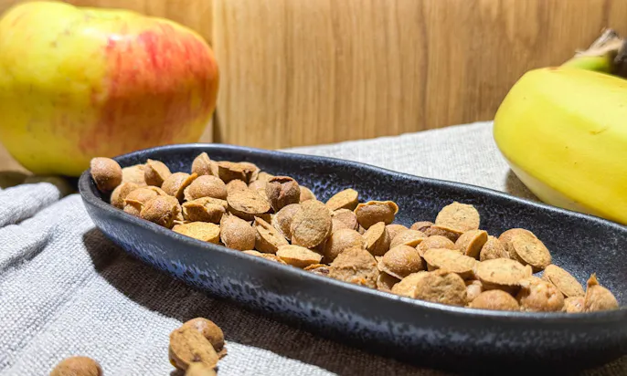 vegetarische Hundeleckerlis selber machen