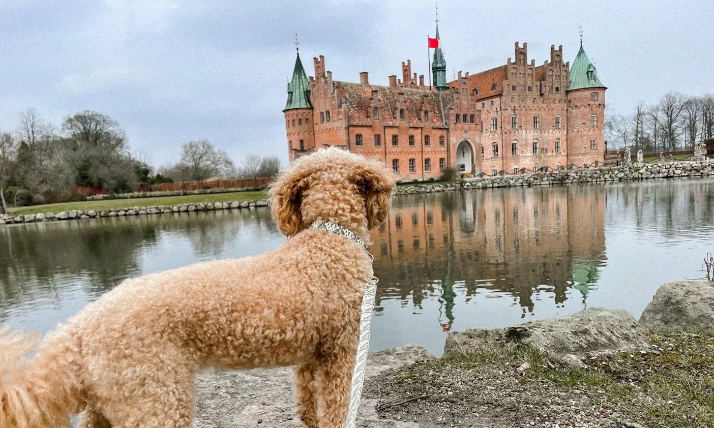 Egeskov Slot mit Hund