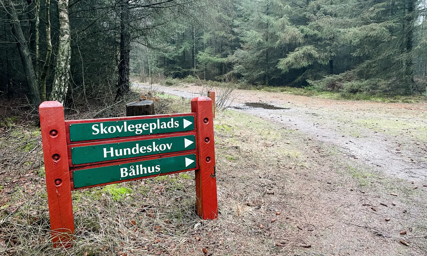Hundewald in Blavand in Dänemark