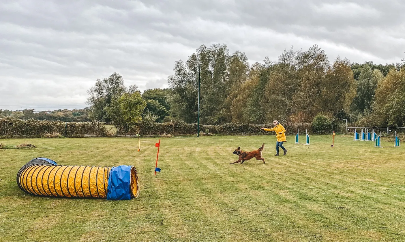 Hundespot Curving mit Dana Thiemel und Ina Lüneburger (Hundeschule TeamWerk)