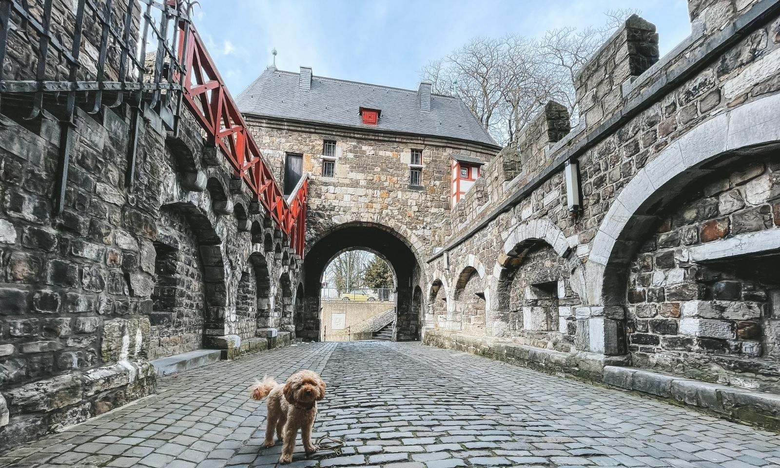 Ponttor mit Hund in Aachen