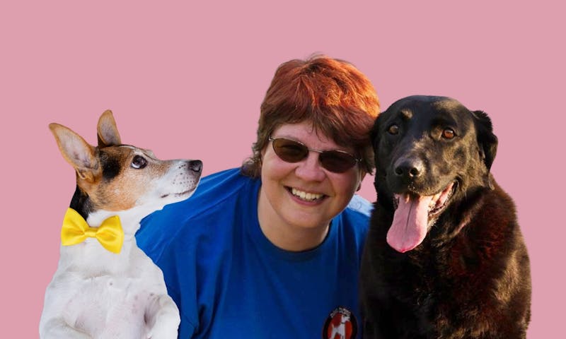 Gelbe Hunde brauchen Abstand: Interview mit Ramona Noack