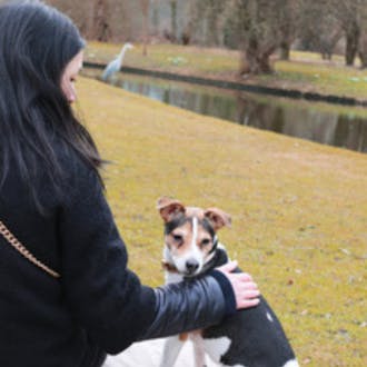 Insider-Tipps für deinen Dänemark-Urlaub von tadazhi-Gründerin Charlotte